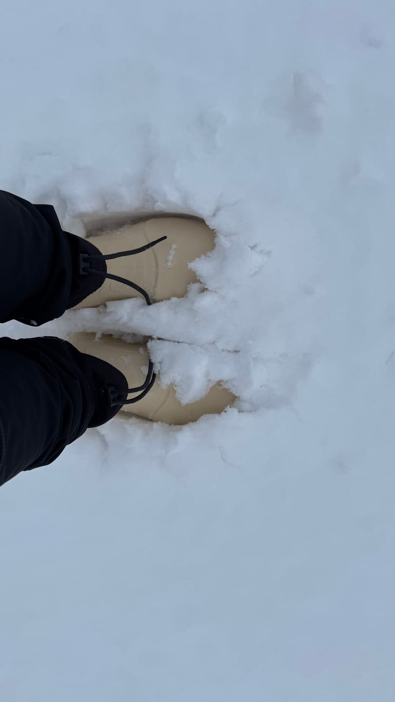Customer photo review of NISEKO 3.0 LOW