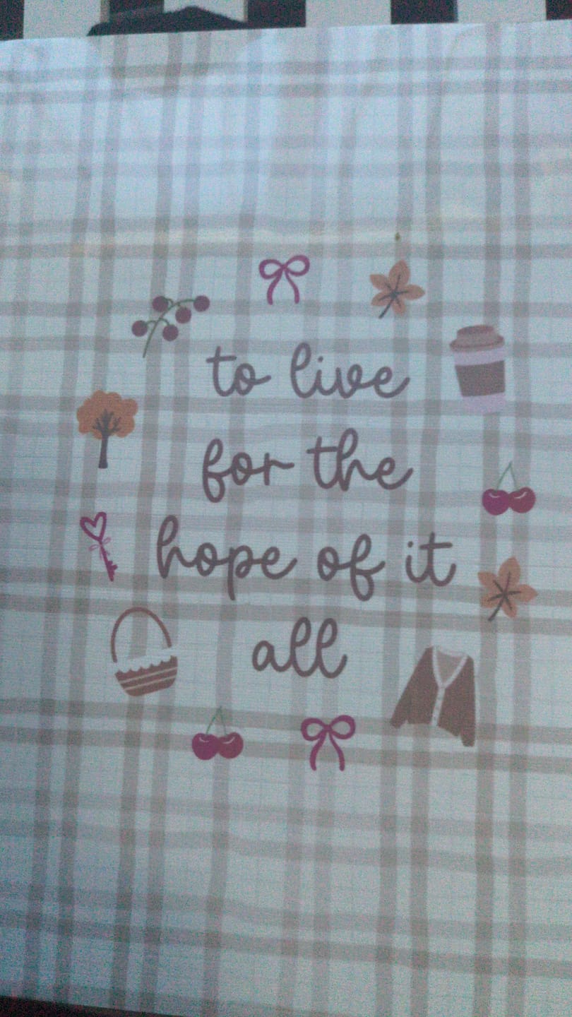 Customer photo review of Hope Of It All Taylor Swift Kindle Insert