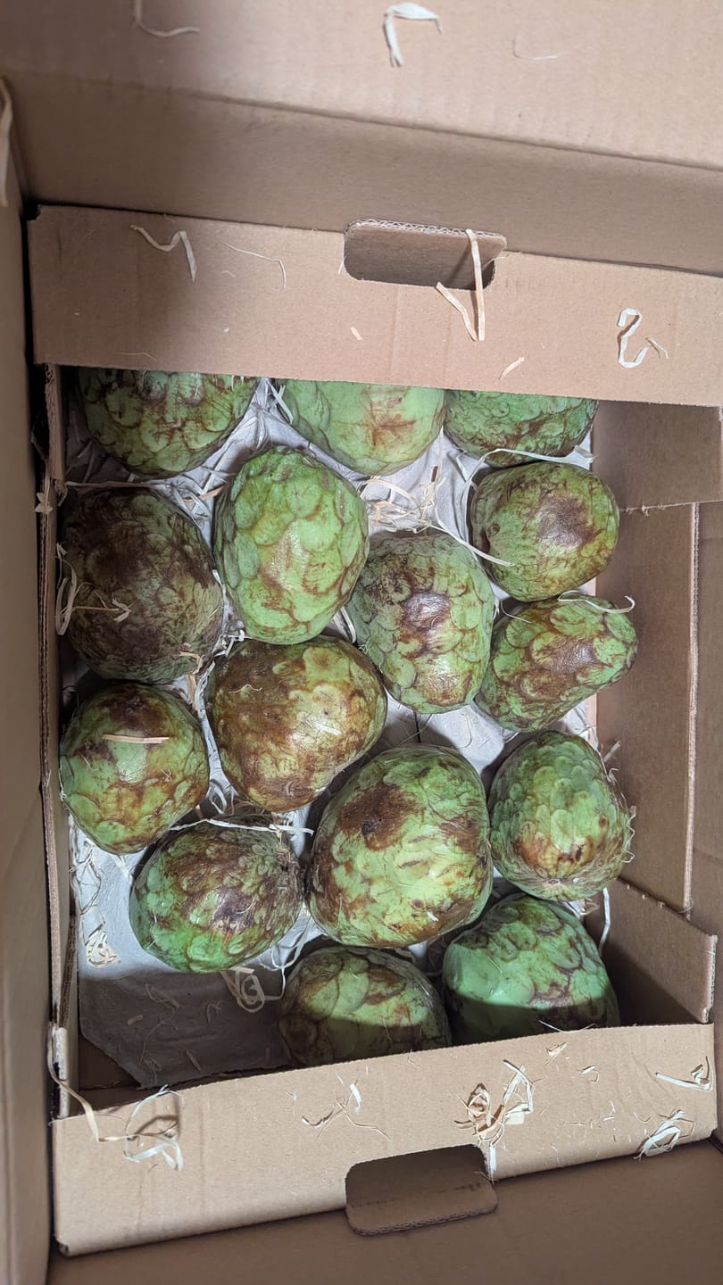 Customer photo review of Cherimoya Bio von Julian Sonderaktion %