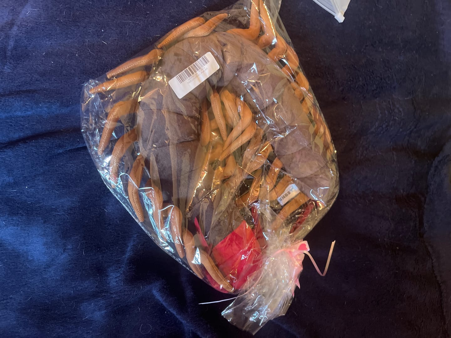 Customer photo review of Chinese Red-Headed Centipede Stuffed Plush Toy