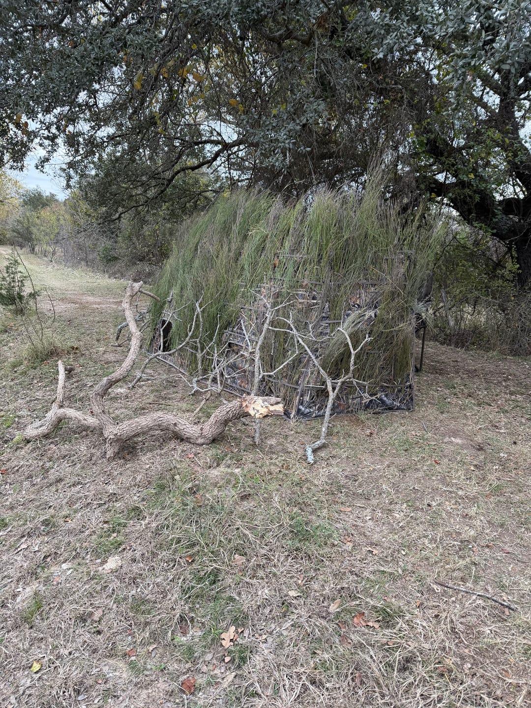 Customer photo review of Modular Panel Hunting Blind | A-Frame Pop Up Duck & Goose Blinds | Portable 3-4 Person Waterfowl Ground Blind Camo