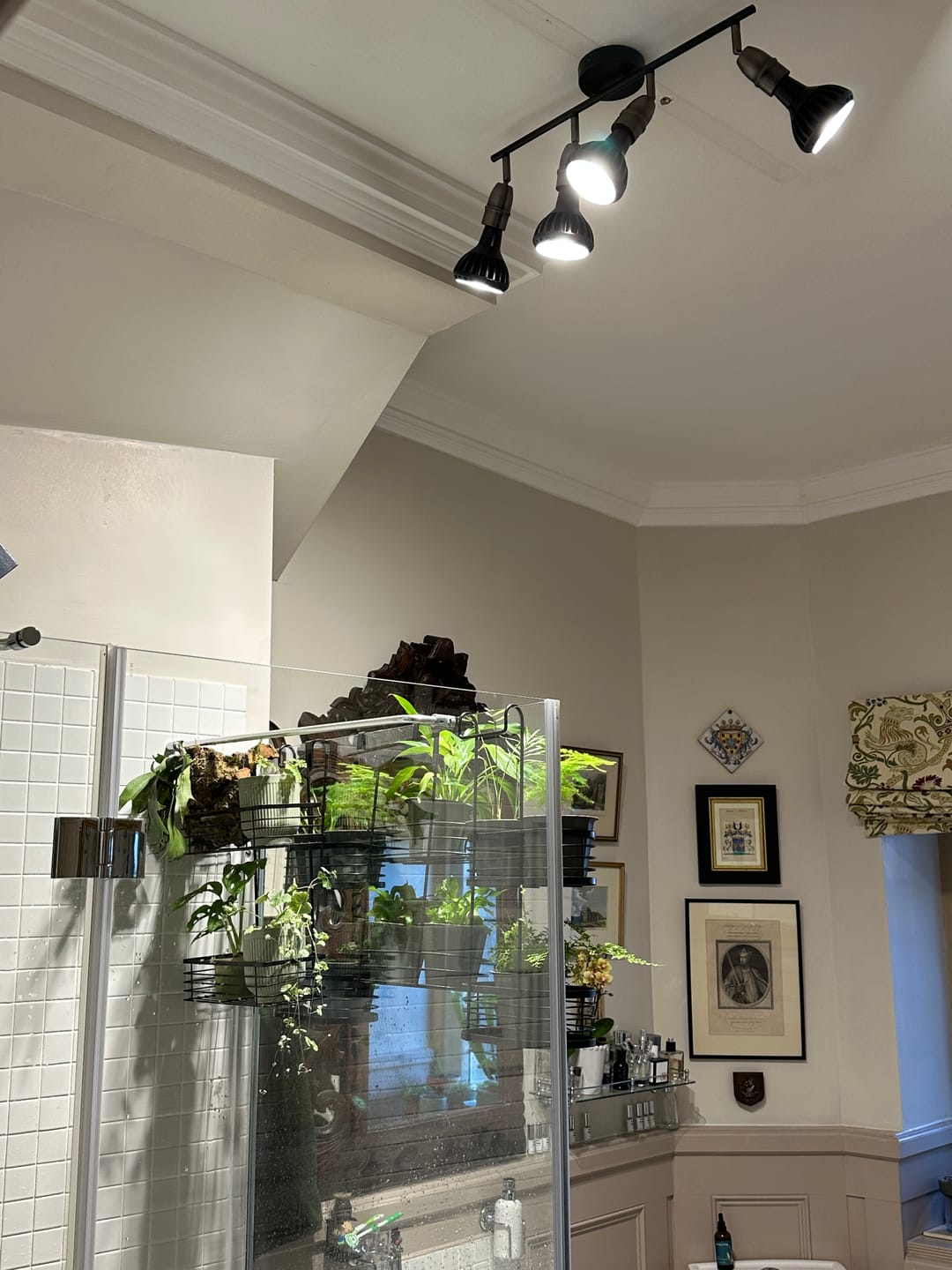 Customer photo review of Pianta LED Grow Light 3-Pack bundle
