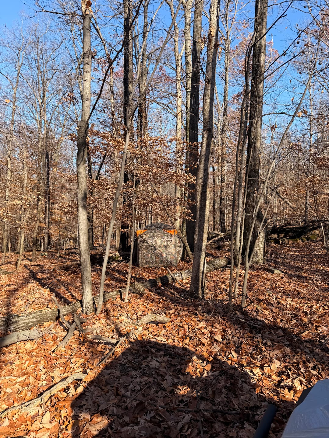 Customer photo review of Vis360 See Through Silent 4 Full Panels Deer Hunting Blind
