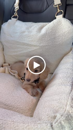 Customer video review of Marshmallow | The Bouclé Car Seat