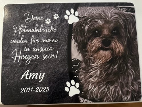 Customer photo review of Hunde Gedenktafel mit Foto & Spruch (UV- & Wetterfest)