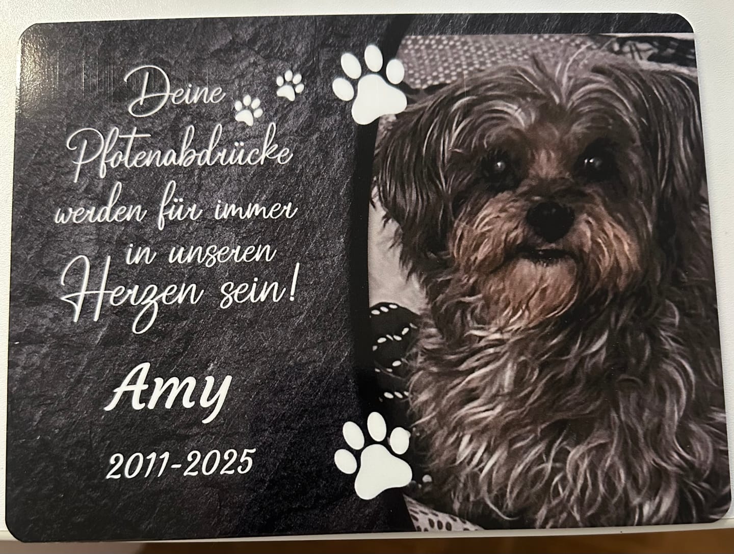 Customer photo review of Hunde Gedenktafel mit Foto & Spruch (UV- & Wetterfest)