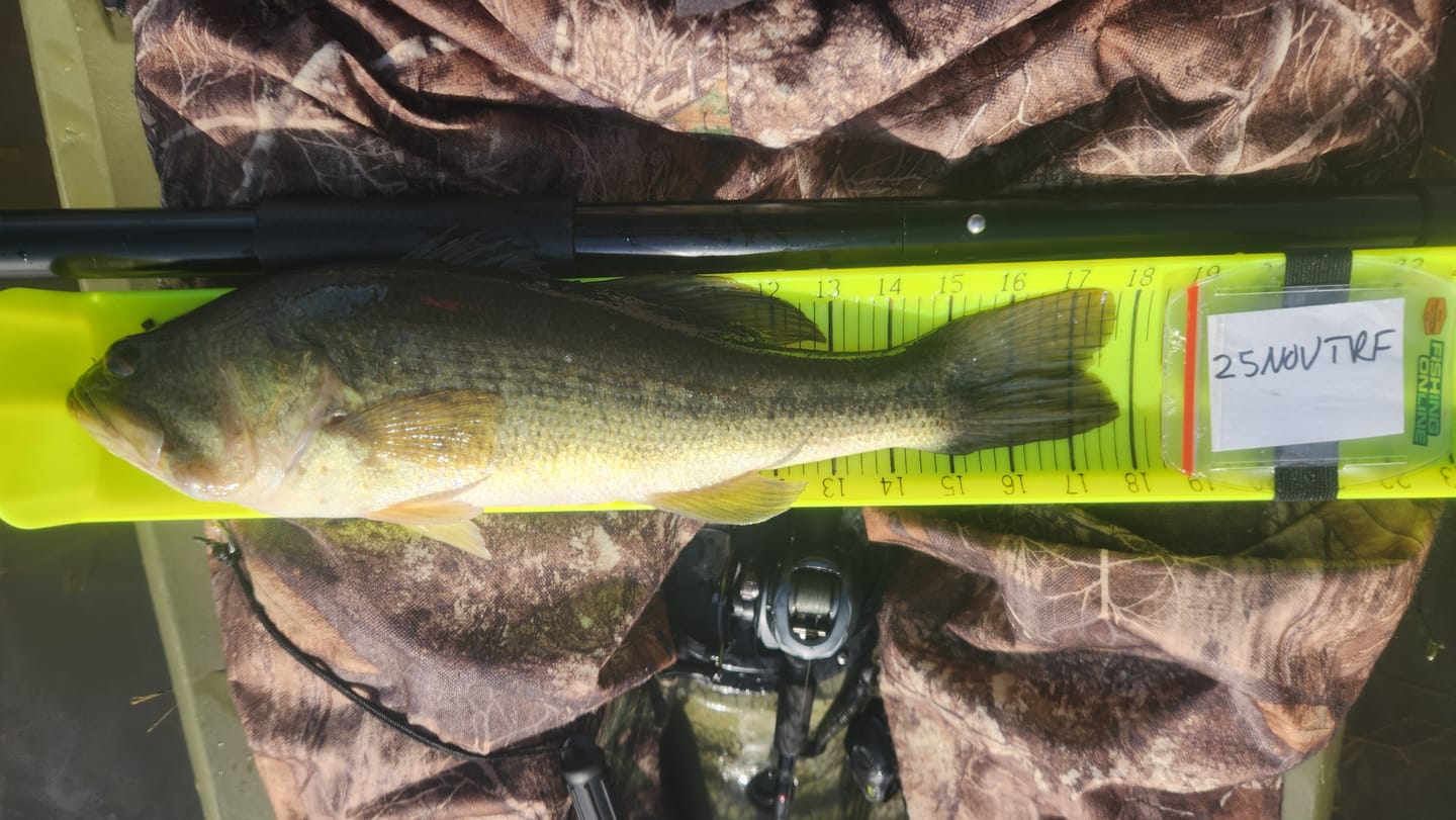Customer photo review of Hawg Trough Measuring Board (Pre-lined & Floating)
