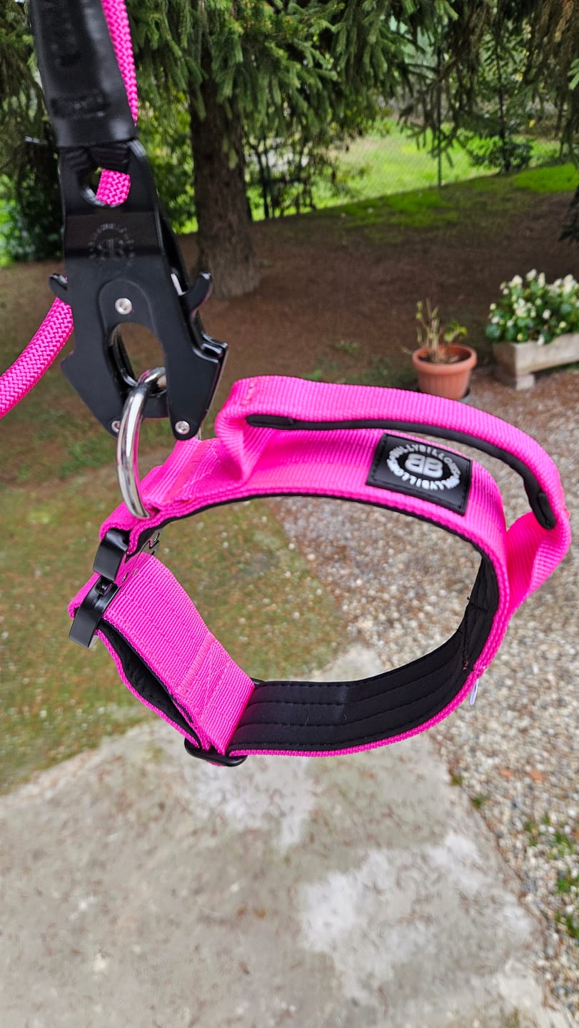 Customer photo review of 4cm Combat® Collar | With Handle & Rated Clip - Magenta