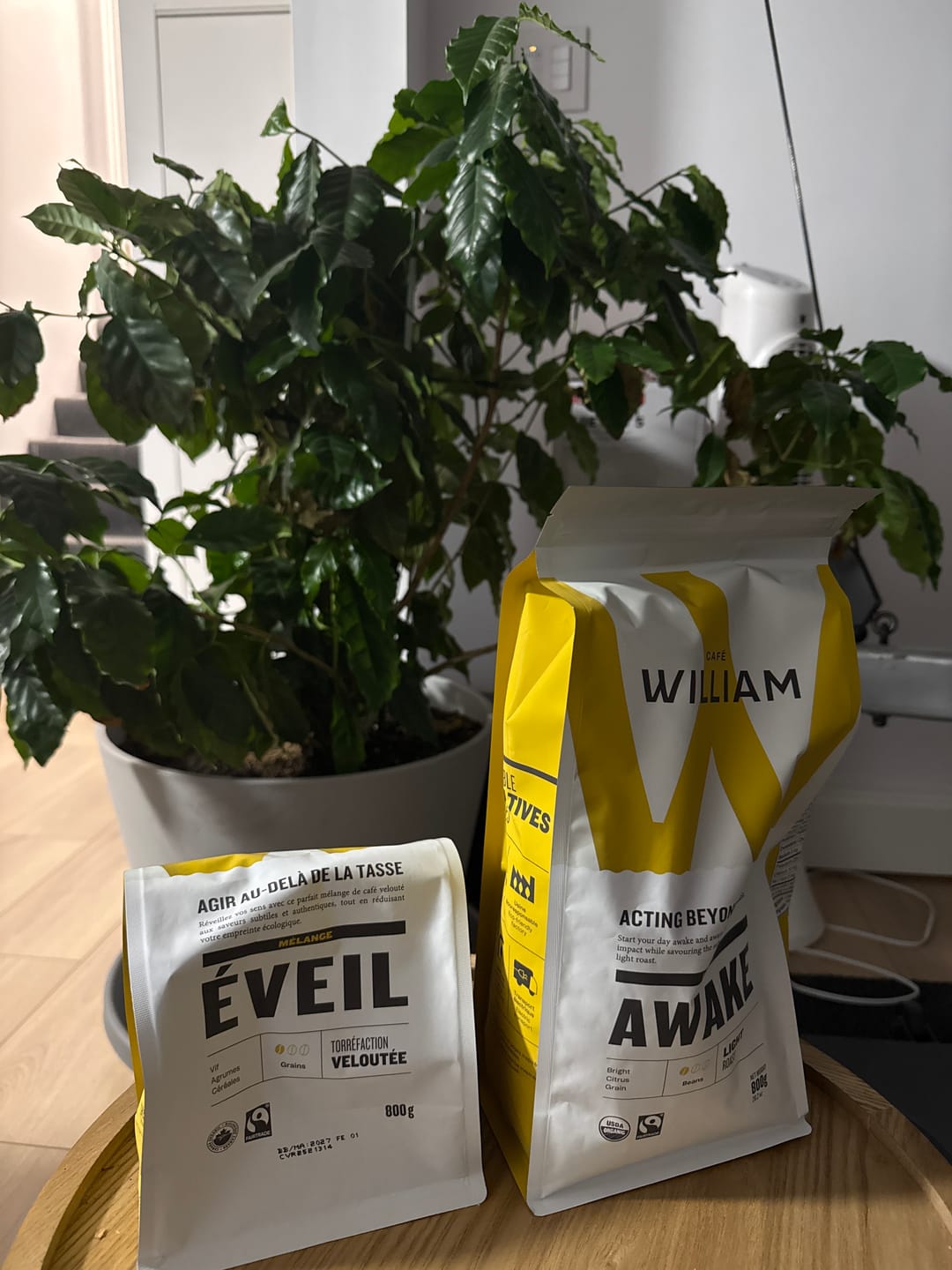 Customer photo review of VITAL