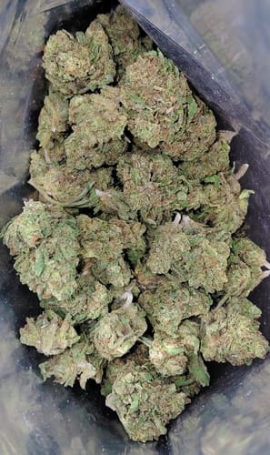 Customer photo review of BFCM THCA Flower Ounces (30% Off)