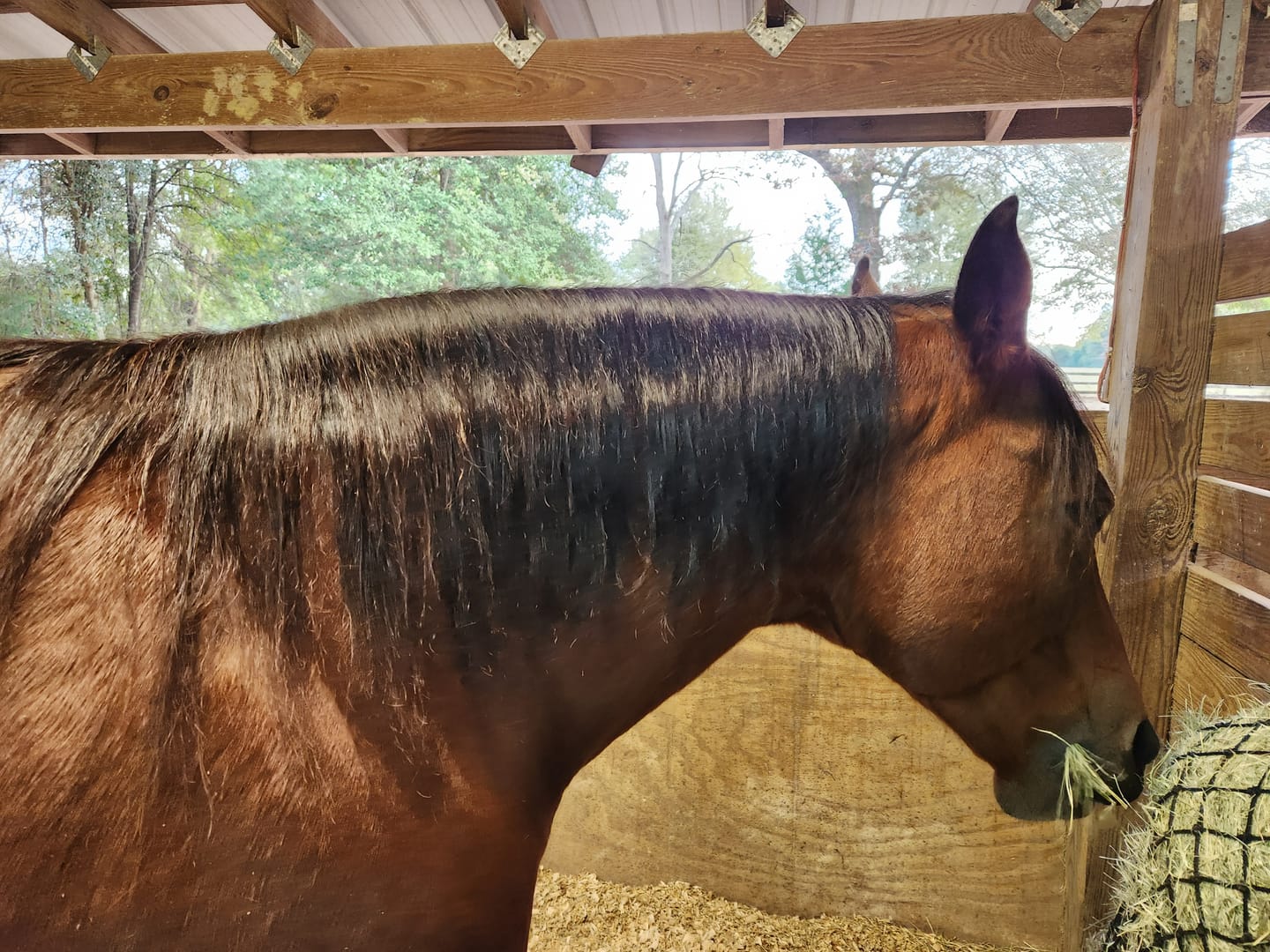 Customer photo review of Repel & Shine