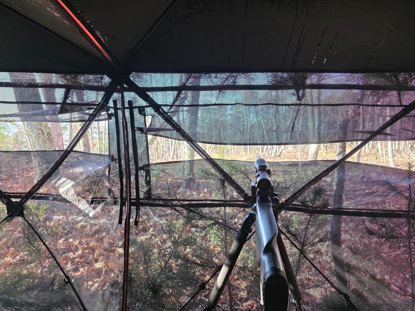 Customer photo review of VisTrilogy 270 See Through Deer Ground Blind | 4-6 Person Modular Hunting Pop-Up Blind | Portable Dual 2 3 Person Blinds with 3-in-1 Design for Turkey
