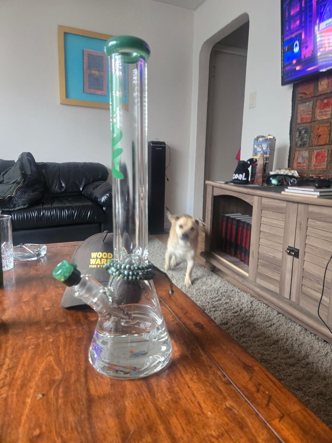 Customer photo review of 18" x 9mm thick classic Beaker Bong