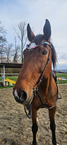 Customer photo review of Rainbow Deluxe Stirnriemen