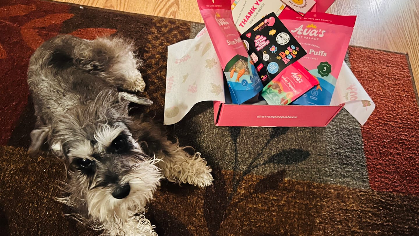 Customer photo review of Freeze Dried Dog Treats - Salmon Puffs