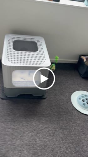 Customer video review of Fit Litter