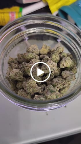 Customer video review of Boutique Exotics Berry Pop Littles - Bulk Littles - Hybrid