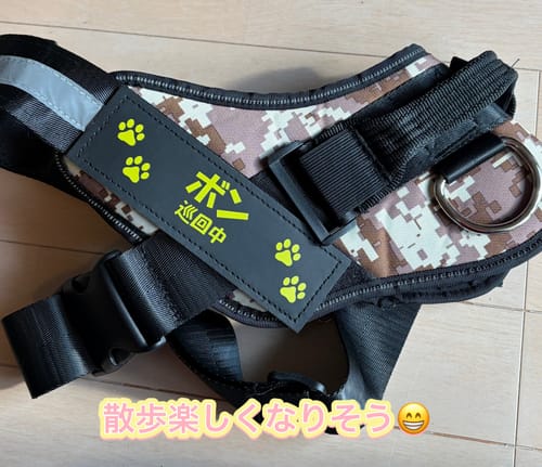 Customer photo review of FunFunPet 高機能ハーネス（お名前タグ作成サービス付き）