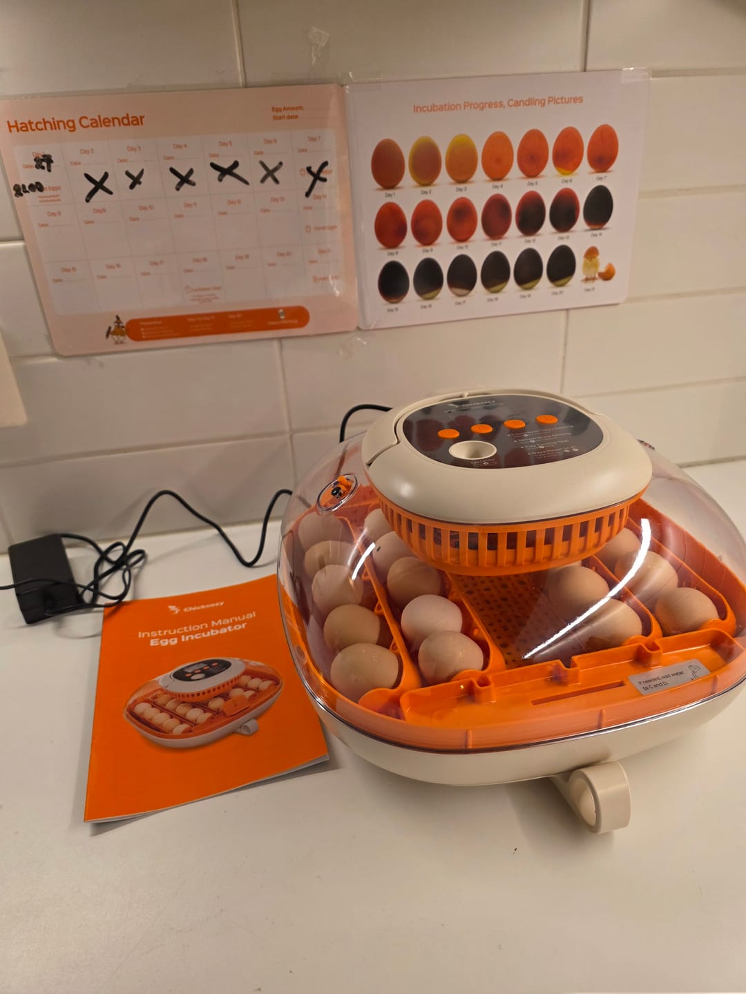 Customer photo review of Egg Incubator -25 Egg Capacity