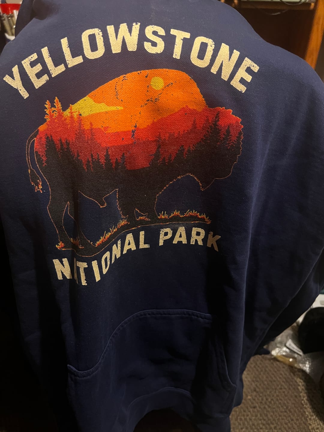 Customer photo review of Vintage Yellowstone Buffalo Hoodie