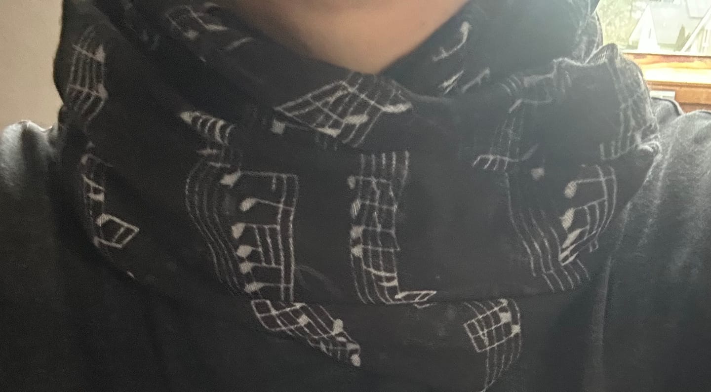 Customer photo review of Stilvolle Musiker Loop-Schals
