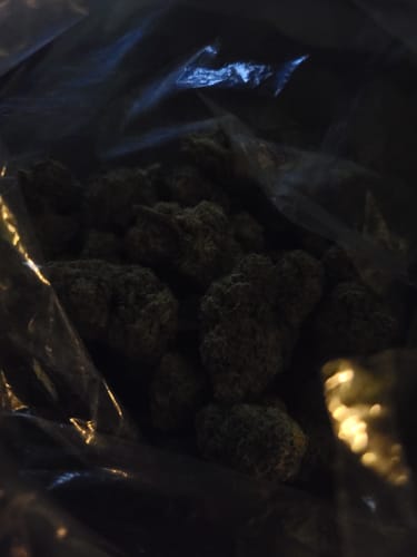 Customer photo review of Jokerz - Bulk - Indica