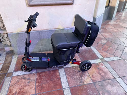 Customer photo review of Carryall & Cushion