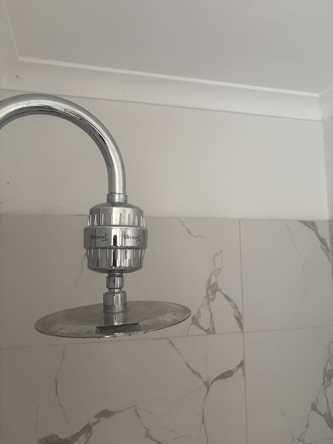 Customer photo review of Shower Purifier Filter Refill
