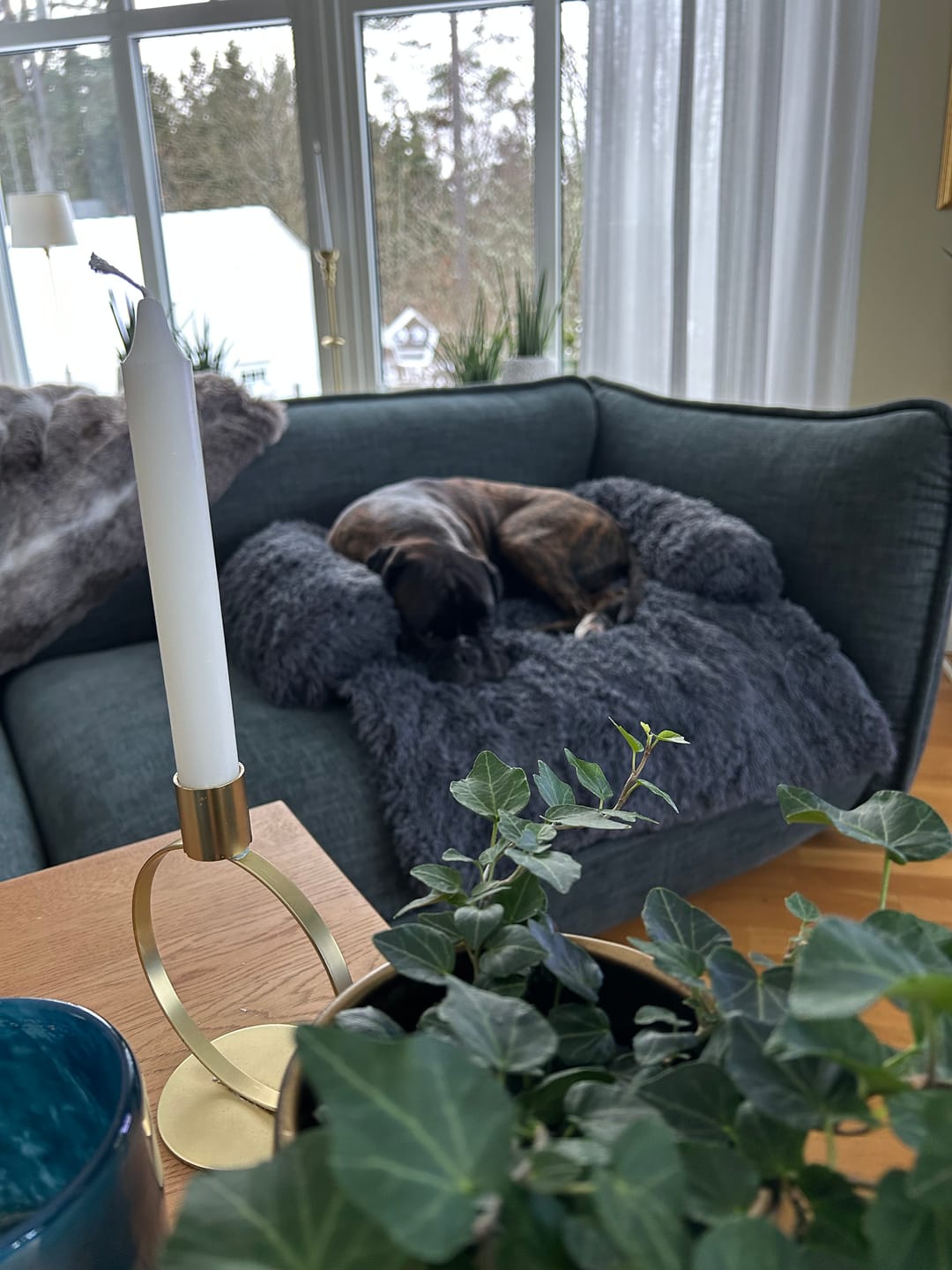 Customer photo review of CalmCouch - Motverkar ångest & skyddar din soffa