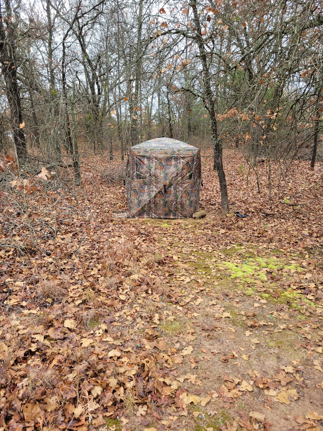 Customer photo review of 270° See Through 1-2 Person Hunting Blind, Pop Up Ground Deer Blind