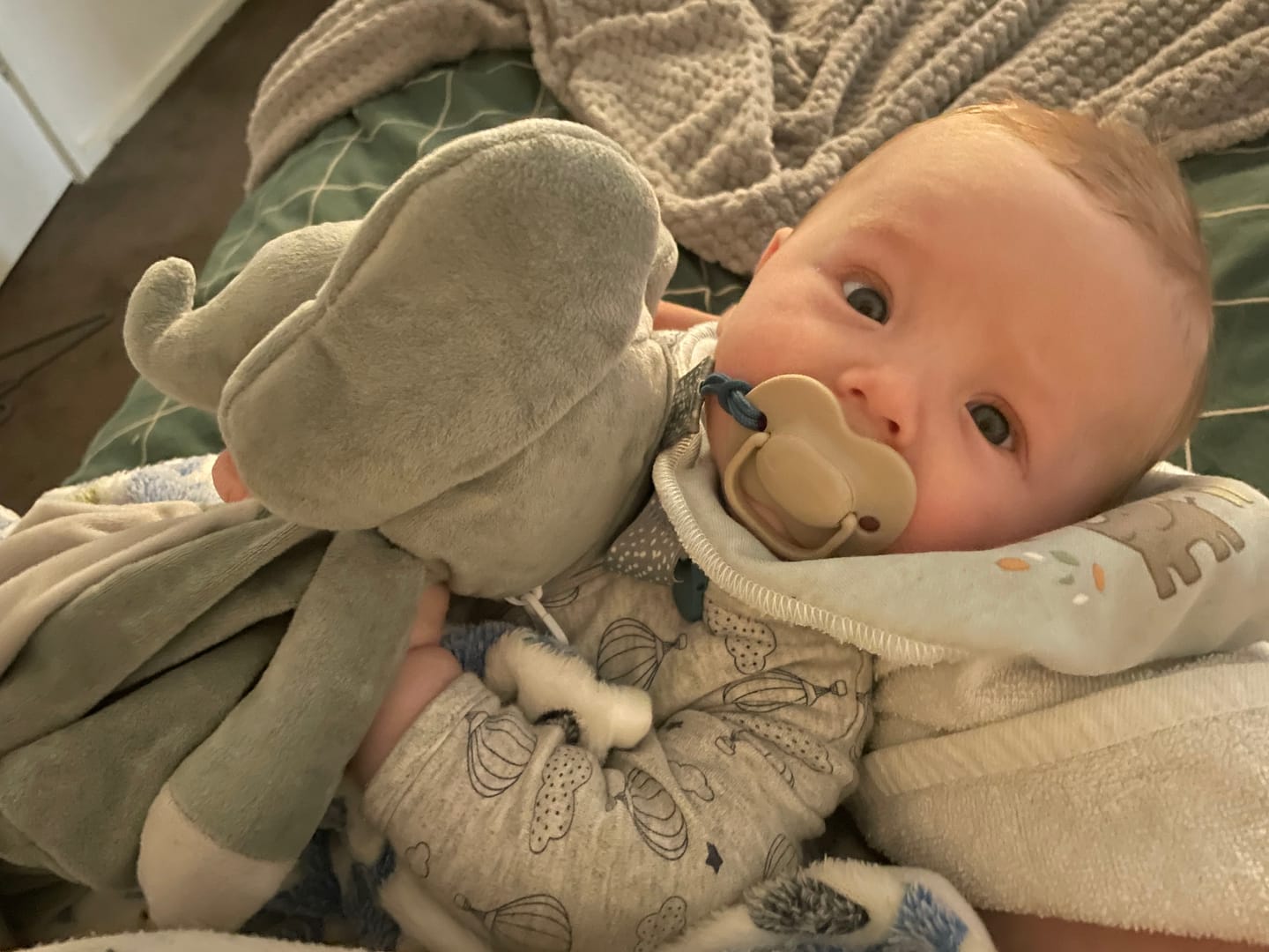 Customer photo review of Ellie the Elephant