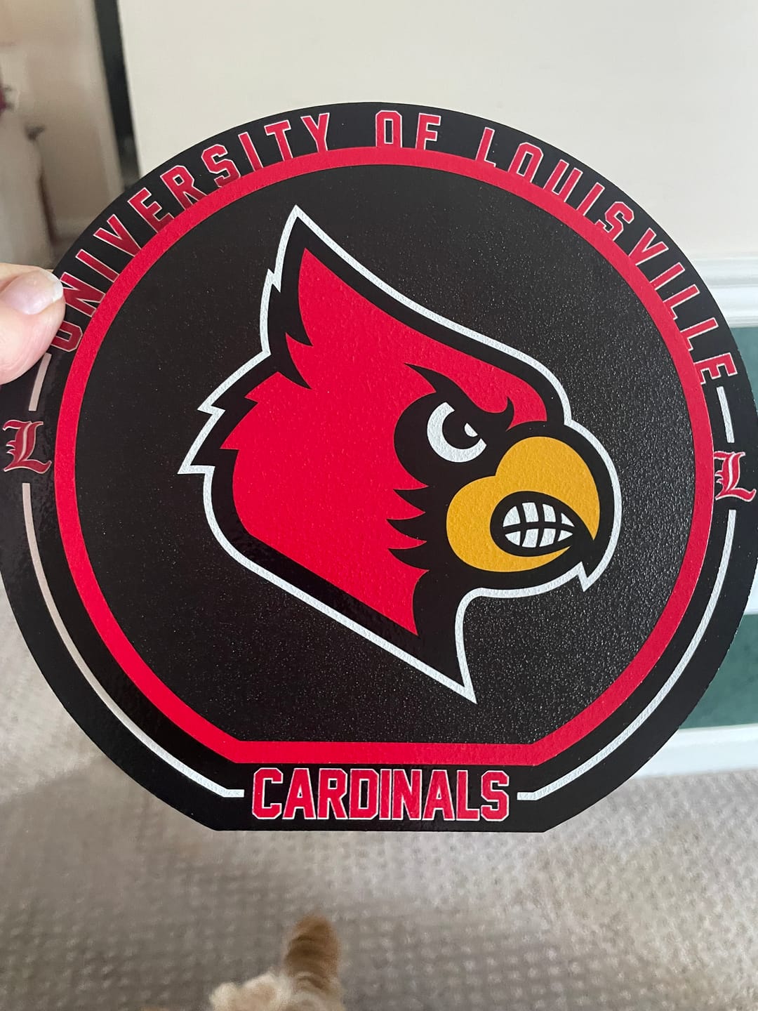 Customer photo review of Louisville Cardinals "Double Play" On the Shelf or on the Wall Art