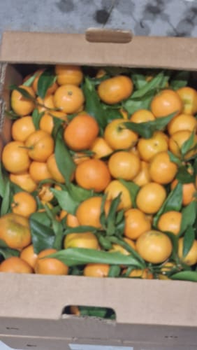 Fernandez F. review of Clémentines Bio - Origine Corse image 1 out of 1