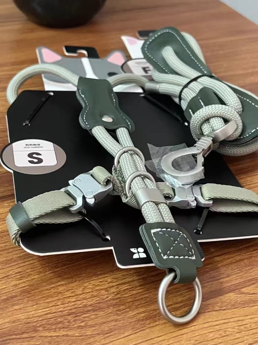 Customer photo review of H-Style Leather & Round Rope Adjustable Dog Harness – Harness only or Harness & Leash Set