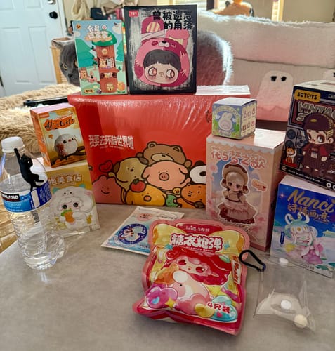 Customer photo review of Sales Promote Mystery Box Only $8.99【Slightly Package Damaged】