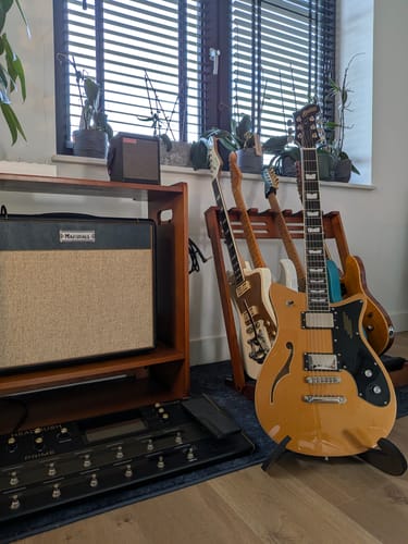 Customer photo review of Revolt - Inca Gold - VIP Bundle 2025