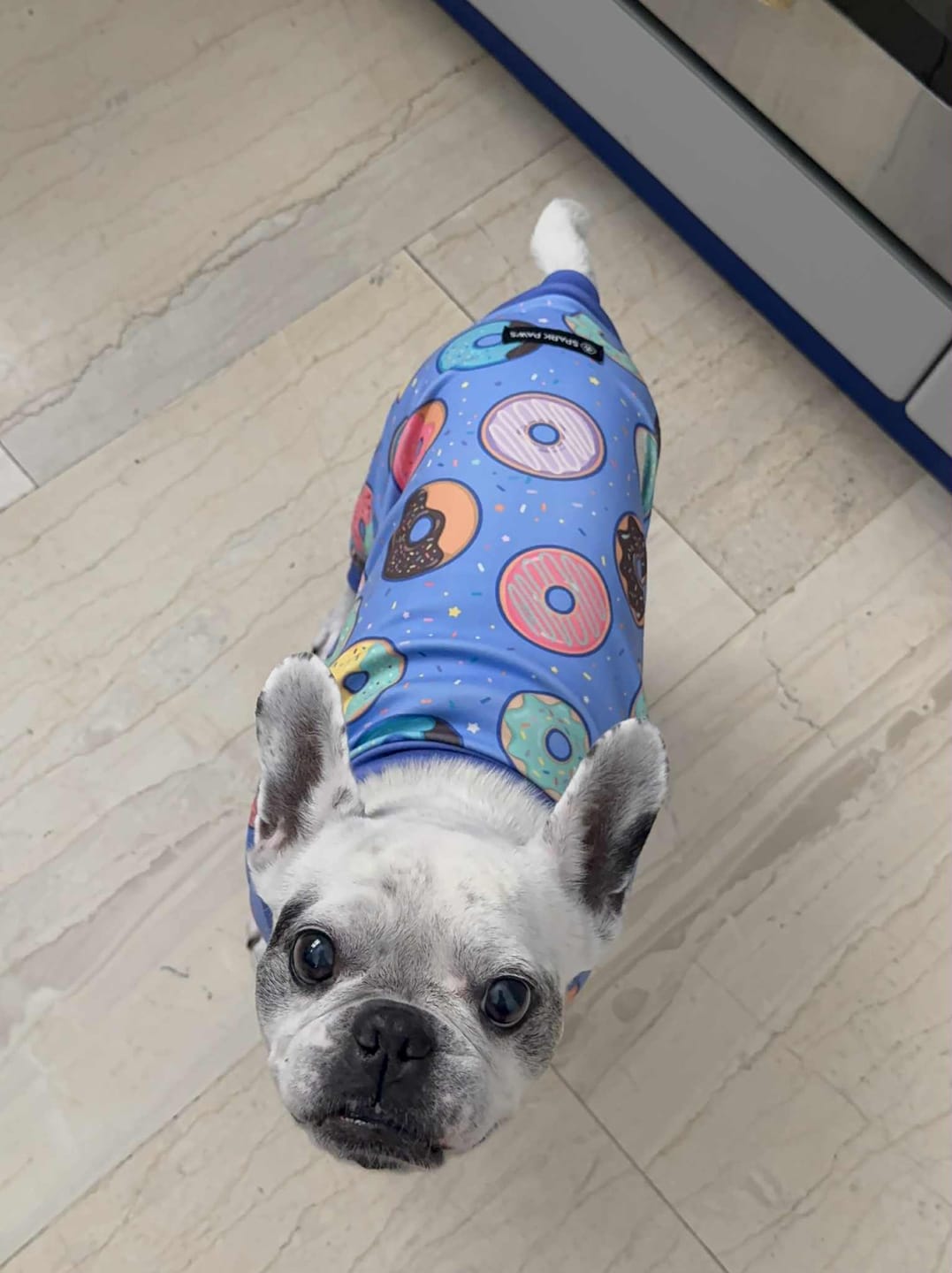 Customer photo review of Dog Pajama - Donuts