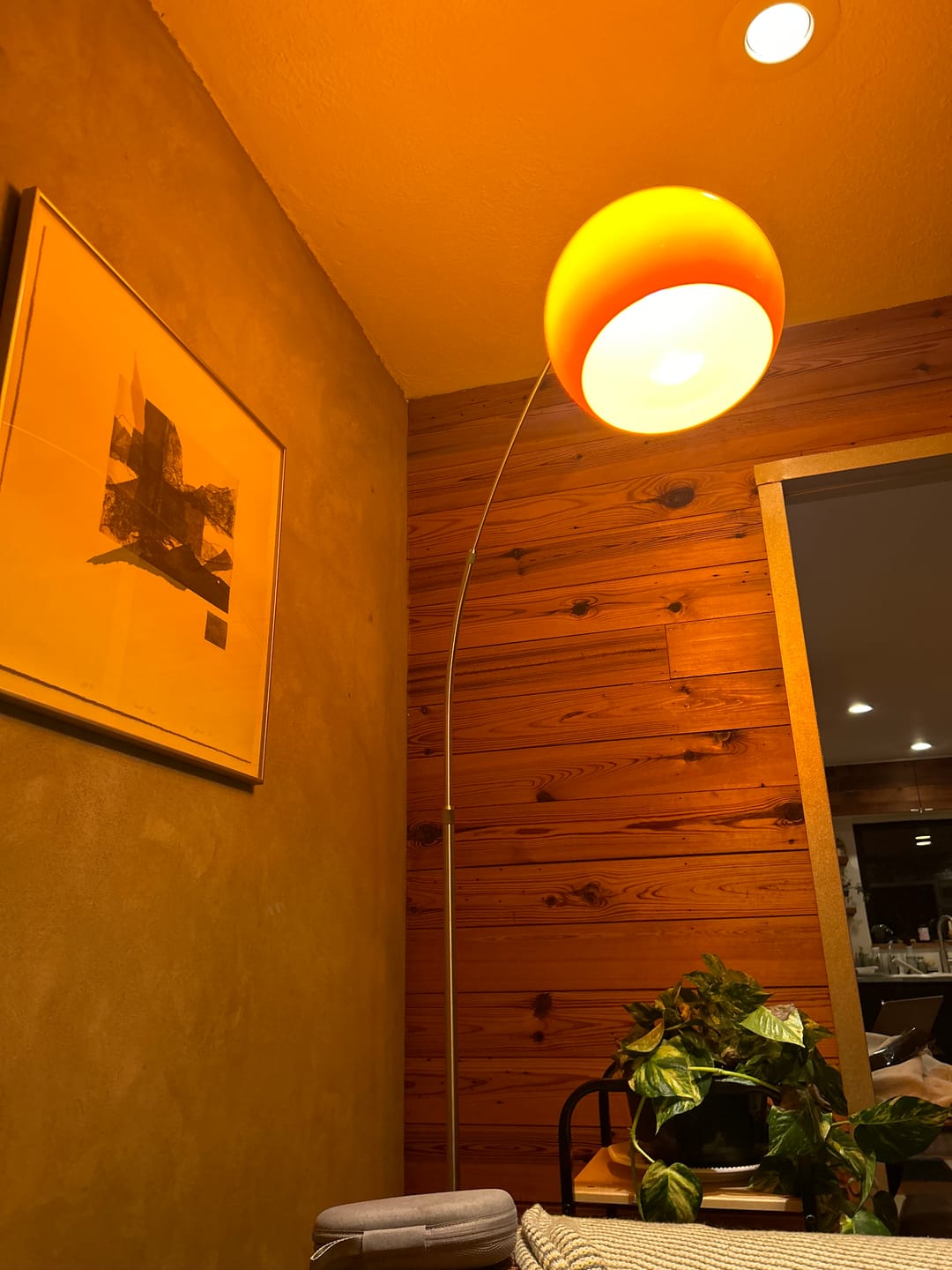 Customer photo review of Orange Dome Modern Arched Metal LED Floor Lamp