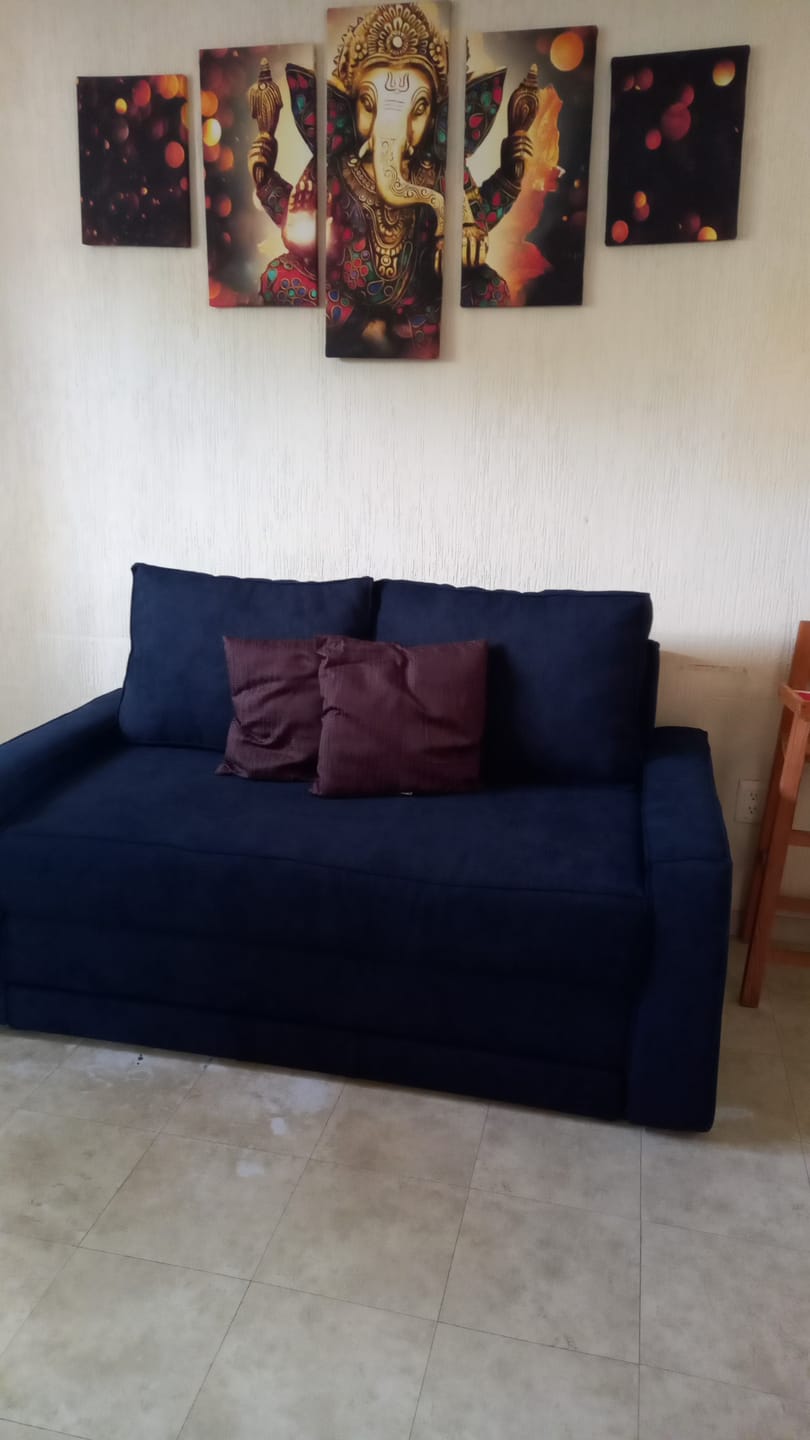 Customer photo review of Sofá Cama Alexis