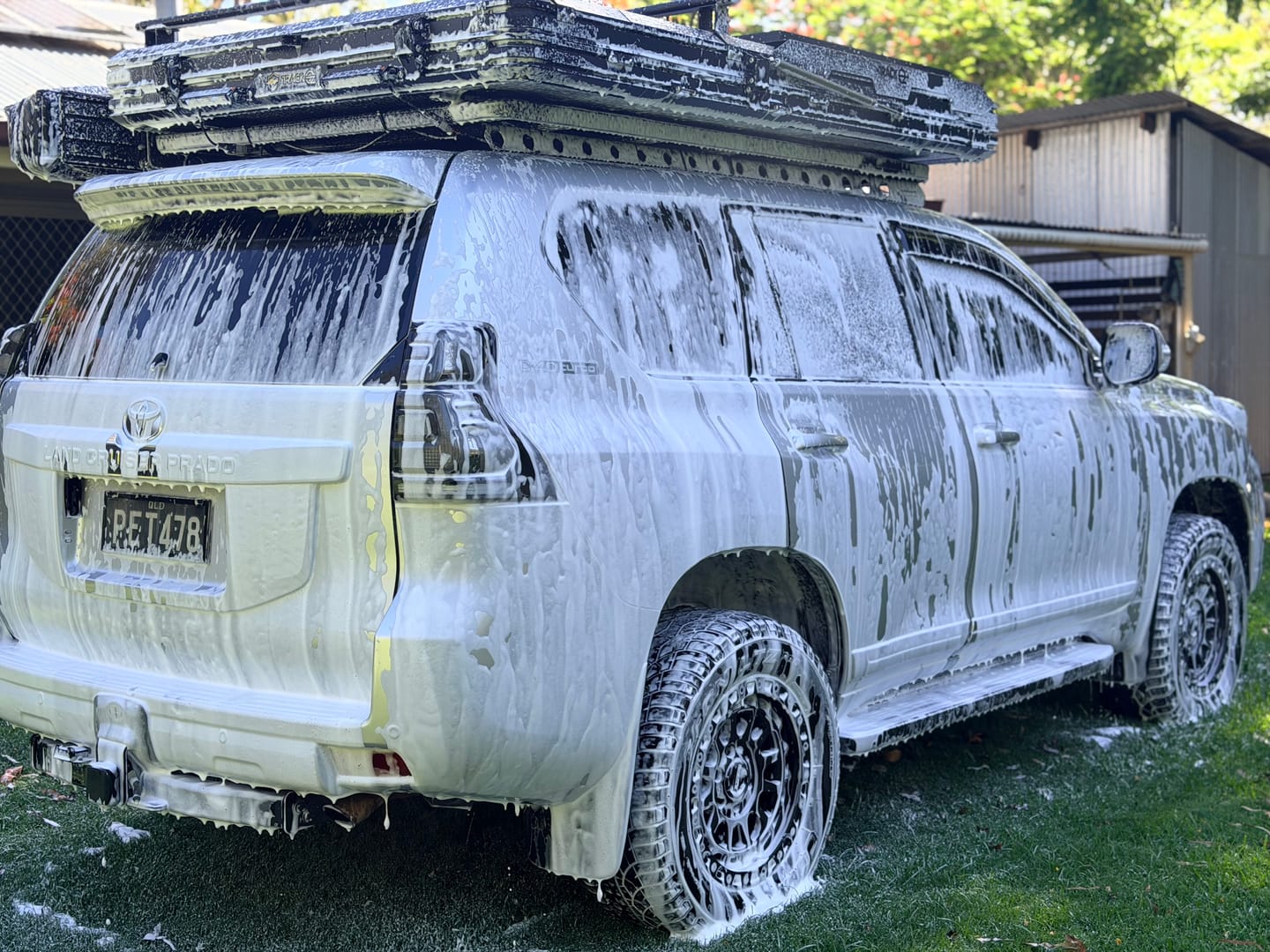 Customer photo review of Triple Protection Bundle 5lt