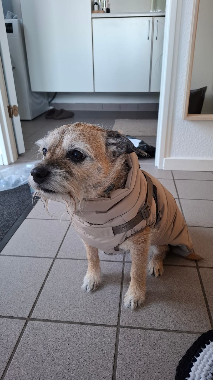 Customer photo review of Staey - Vera Hundejakke m. sele, Sand