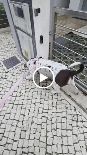 Customer video review of 1.2m Mini Combat® Lead - Pink