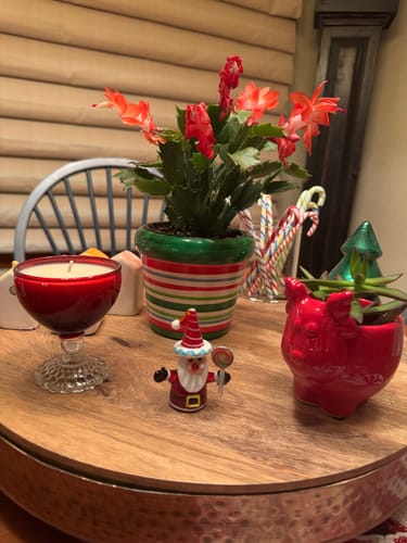 Customer photo review of Pocket Santa