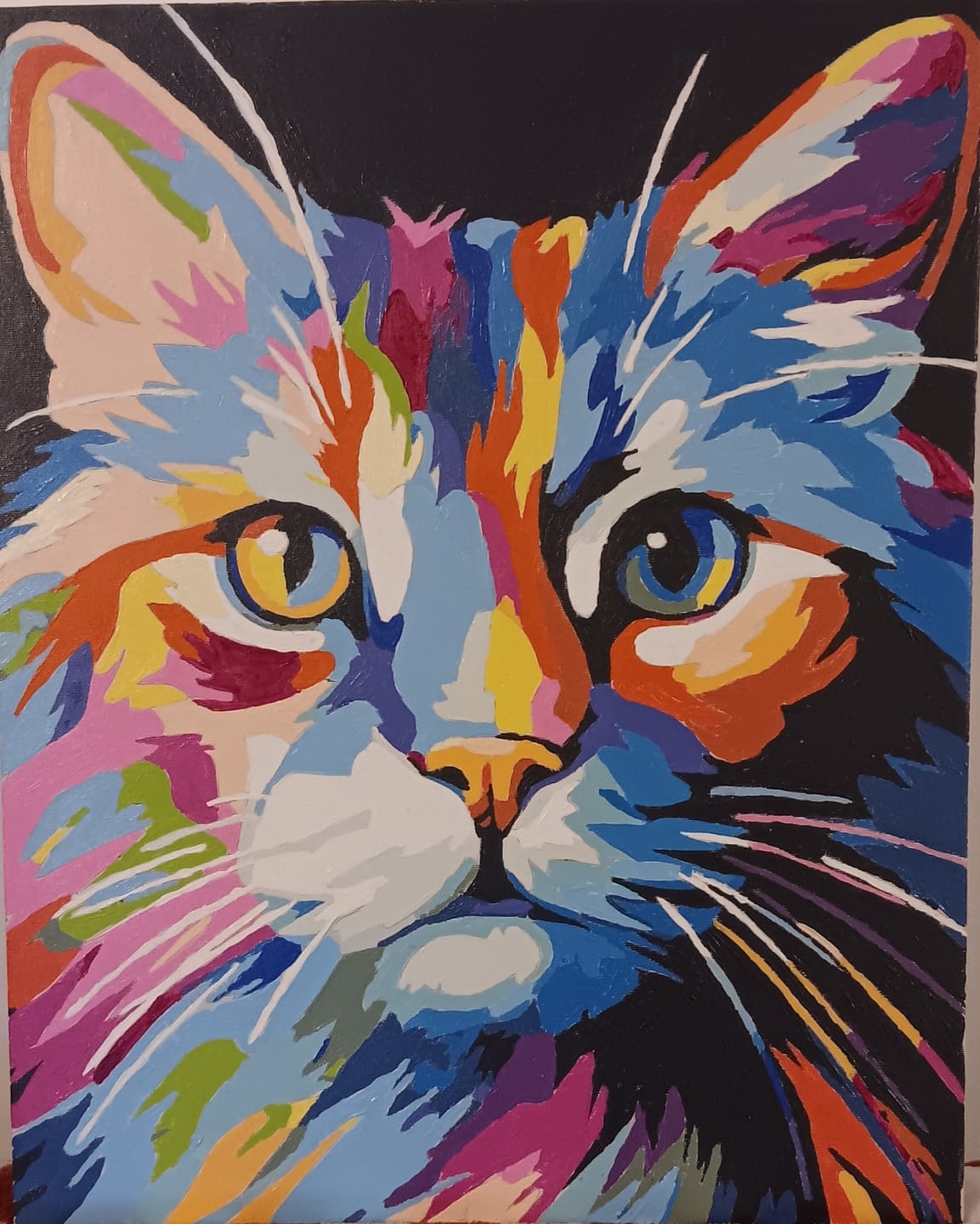Customer photo review of Feline Colors