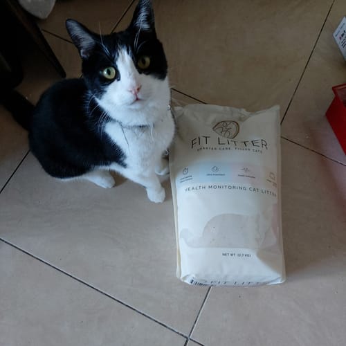 Customer photo review of 3 Month Supply - 1 Cat