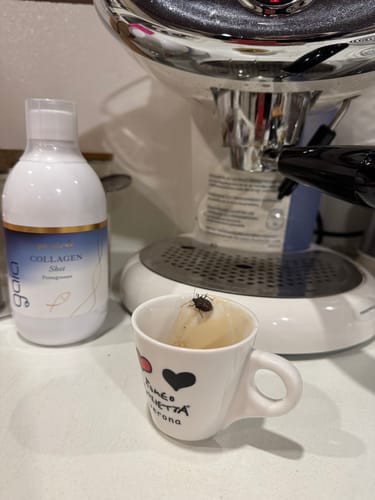 Customer photo review of Kolagen Shot