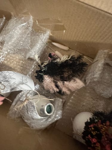 Customer photo review of Cedar Grove Petite Vase