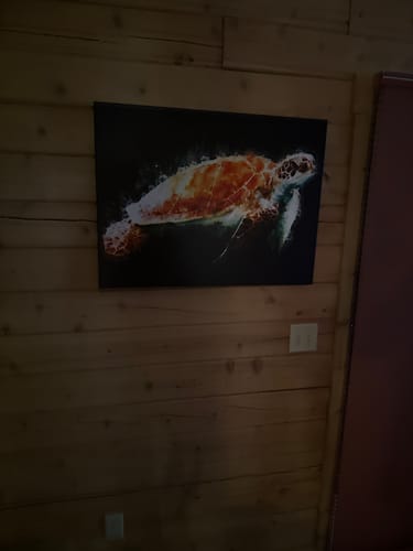 Customer photo review of Sea Turtle - Watercolor