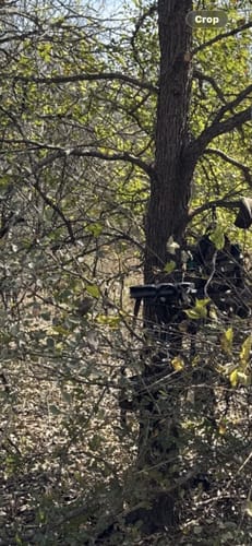 Customer photo review of RANGER HYBRID™