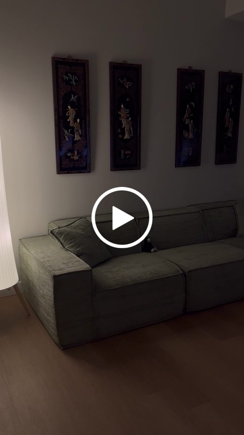 Customer video review of M1 Sofa Sectional